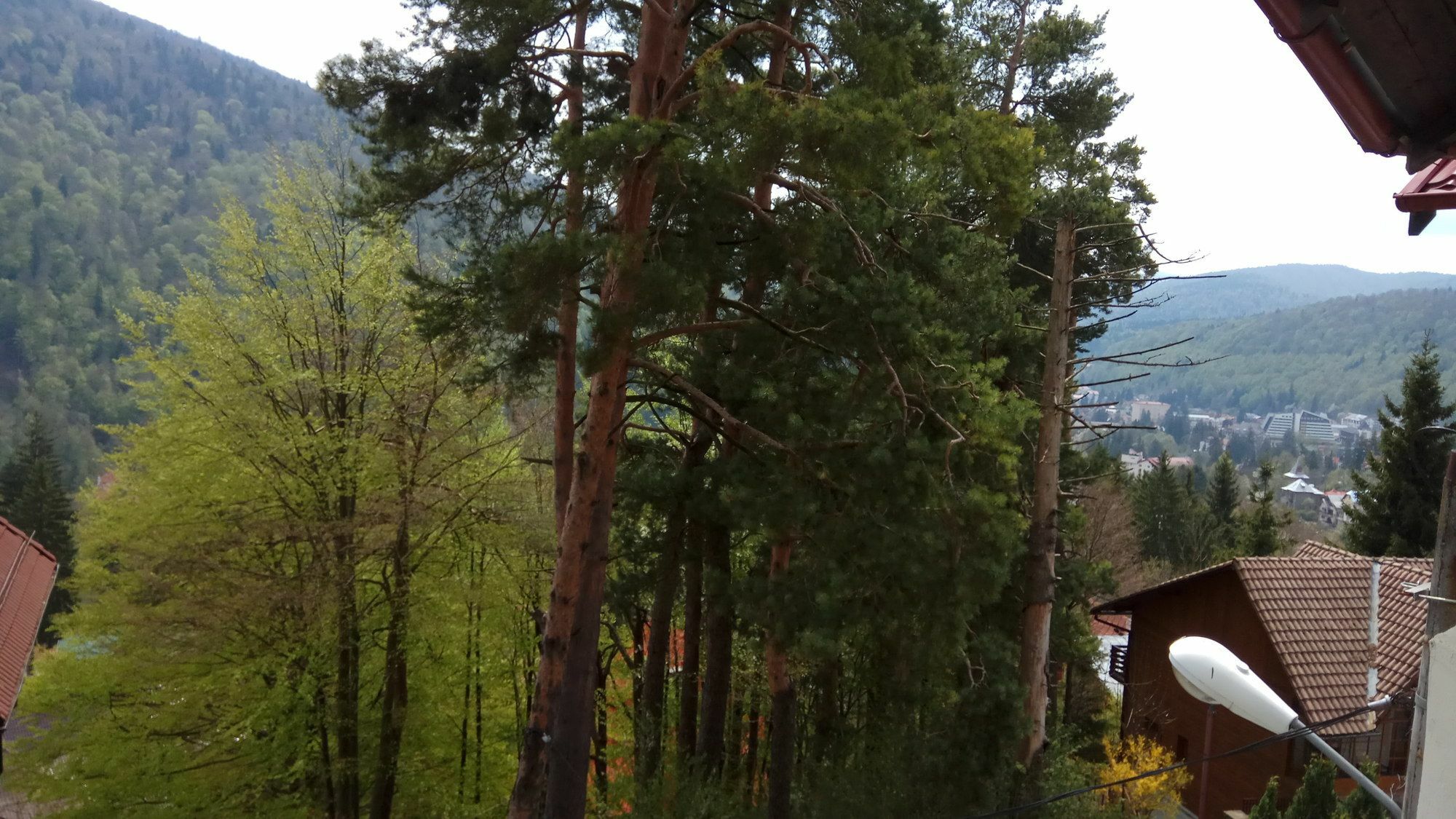 Casa Adina Hotel Sinaia Eksteriør billede